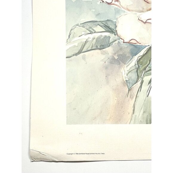 26.5"x21" Ltd Ed Signed Numbered Print MAGNOLIA by BARBARA MOCK 1986 Somerset - Picture 5 of 7